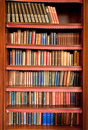 Picture of Photo Poster Only AOFOTO 4x6ft Retro Bookcase Background Vintage Bookshelf Photography Backdrop Library Bookrack Book Shelves Cabinet Literary Education Culture Interior Decoration Photo Studio Props Vinyl