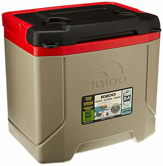 Igloo cooler 2024 16 qt