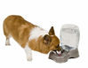 Picture of Petmate Pet Cafe Waterer Cat and Dog Water Dispenser 4 Sizes, 3 GAL, Pearl Tan