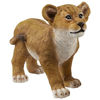 Picture of Design Toscano QM28728 Lion Cub of The Sahara Animal Statue: Ahaggar, Full Color