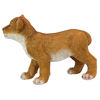 Picture of Design Toscano QM28728 Lion Cub of The Sahara Animal Statue: Ahaggar, Full Color