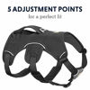 Picture of RUFFWEAR, Web Master, Multi-Use Support Dog Harness, Hiking and Trail Running, Service and Working, Everyday Wear, Twilight Gray, Large/X-Large