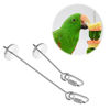 Picture of Bird Fruit Vegetable Holder Stainless Steel Vegetable Skewer Hanging Food Feed Tool for Parrot Budgies Parakeet Cockatiels Conure Lovebirds Finch Canary Pigeon Hamster Rat Gerbil Cage (7.9inch,20cm)