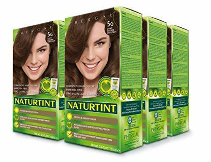 Picture of Naturtint Permanent Hair Color 5G Light Golden Chestnut (Pack of 6), Ammonia Free, Vegan, Cruelty Free, up to 100% Gray Coverage, Long Lasting Results