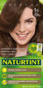 Picture of Naturtint Permanent Hair Color 5G Light Golden Chestnut (Pack of 6), Ammonia Free, Vegan, Cruelty Free, up to 100% Gray Coverage, Long Lasting Results