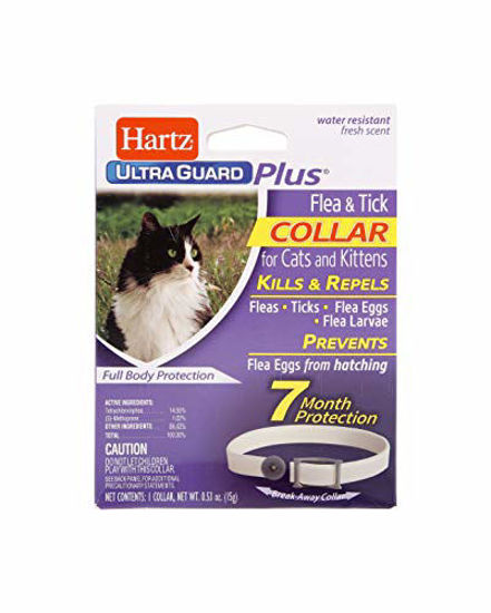 Ultraguard flea and tick collar sale