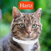 Picture of Hartz UltraGuard Plus Water Resistant 7 Month Protection Breakaway Flea & Tick Collar for Cats (3270094268)