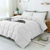 Picture of WhatsBedding 100% Cotton Down Comforter with Corner Tabs White Goose Duck Down and Feather Filling Medium Warmth All Season Duvet Insert or Stand-Alone Comforter Queen/Full