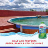 Picture of HTH 67032 Super Algae Guard Swimming Pool Algaecide Cleanser, 1 qt