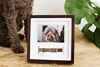 Picture of Pearhead Pet Collar Keepsake Picture Frame, Pet Owner Holiday Christmas Gift, Espresso