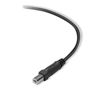 Picture of Belkin Premium Printer Cables Cable10 Ft4 Pin USB Type B to 4 Pin USB Type A, Black (F3U154BT3M)