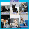 Picture of Hartz Disposable Male Dog Wraps with FlashDry Gel Technology, SSS 52 Count