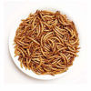 Picture of Dried Mealworms -2 LBS- 100% Natural Non GMO Mealworms -Food For Chicken- High Protein Mealworms for Bird, Duck Food, Bearded Dragon Diet, Gecko Food, Turtle Food, Lizard Food - Bulk Mealworms 2 LBS