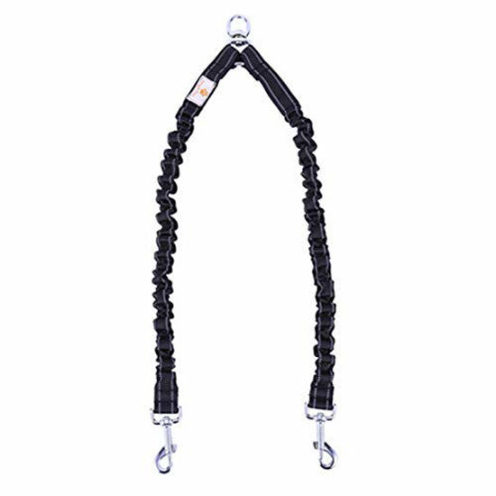 Swivel dog outlet leash