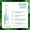 Picture of BIOLAGE Volumebloom Shampoo | Lightweight Volume & Shine | Paraben-Free | For Fine Hair | 33.8 Fl. Oz.