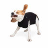 Picture of Suitical Recovery Suit Dog, Small Plus, Black