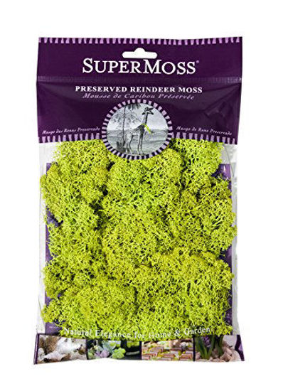 Picture of Super Moss (21708 Reindeer Moss Preserved, Chartreuse, 2oz, 80.75 Cubic inch (in3) Bag (Appx. 2oz)