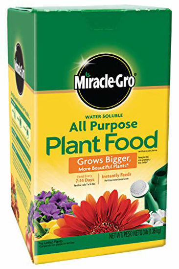 Picture of Miracle-Gro 1000283, 3-Pound Fertilizer All Purpose Plant Food, 3 lb