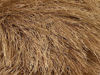 Picture of Light Camel Extra Long Eyelash Yarn Ice Luxurious Fun Fur 50gr 38yds