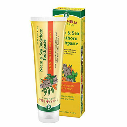 Picture of TheraNeem Neem & Sea Buckthorn Toothpaste, Mint | Supports Clean, Healthy Teeth and Gums | No Fluoride, Vegan | 4.23oz