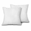 Picture of EDOW Throw Pillow Inserts, Set of 2 Lightweight Down Alternative Polyester Pillow, Couch Cushion, Sham Stuffer, Machine Washable. (White, 24x24)