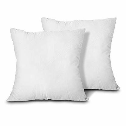 Picture of EDOW Throw Pillow Inserts, Set of 2 Lightweight Down Alternative Polyester Pillow, Couch Cushion, Sham Stuffer, Machine Washable. (White, 24x24)