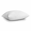 Picture of EDOW Throw Pillow Inserts, Set of 2 Lightweight Down Alternative Polyester Pillow, Couch Cushion, Sham Stuffer, Machine Washable. (White, 24x24)