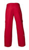 Picture of Arctix Men's Snow Sports Cargo Pants, Vintage Red, 2X-Large/Regular