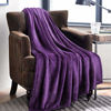 Picture of Bedsure Fleece Blanket Throw Size Purple Lightweight Super Soft Cozy Luxury Bed Blanket Microfiber