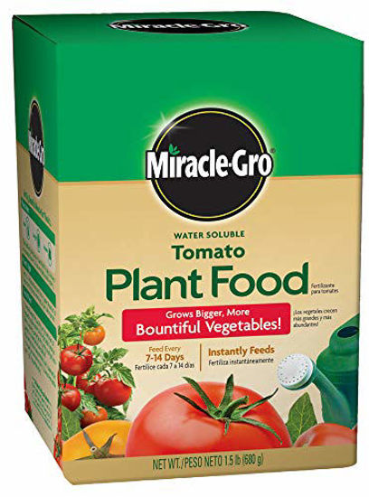 https://www.getuscart.com/images/thumbs/0463286_miracle-gro-2000422-plant-food-15-pound-tomato-fertilizer-15-lb_550.jpeg