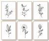Picture of Botanical Plant Wall Art Prints, Minimalist Wall Art, Black and White Wall Art, Plant Wall Decor, Bathroom Wall Decor, Kitchen Wall Decor (Set of 6, 8X10in, Unframed)