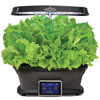 Picture of AeroGarden Salad Greens Mix Seed Pod Kit, 9 pod