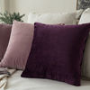 Picture of MIULEE Pack of 2 Velvet Pillow Covers Decorative Square Pillowcase Soft Solid Eggplant Purple Cushion Case for Sofa Bedroom Car 22 x 22 Inch 55 x 55 cm