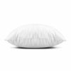 Picture of EDOW Throw Pillow Inserts, Set of 2 Lightweight Down Alternative Polyester Pillow, Couch Cushion, Sham Stuffer, Machine Washable. (White, 12x20)