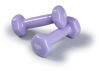 Picture of SPRI Deluxe Vinyl Dumbbells (Lt. Purple, 2-Pound) (1 Set)