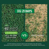 Picture of Scotts EZ Seed Patch & Repair Tall Fescue Lawns - 10 lb., Combination Mulch, Seed, and Fertilizer Mix with Tackifier, Repairs Bare Spots, Covers up to 225 sq. ft.
