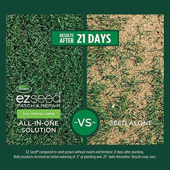 GetUSCart- Scotts EZ Seed Patch & Repair Tall Fescue Lawns - 10 Lb ...