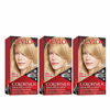 Picture of Revlon Colorsilk Beautiful Color Permanent Hair Color with 3D Gel Technology & Keratin, 100% Gray Coverage Hair Dye, 81 Light Blonde, 4.4 oz (Pack of 3)