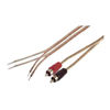 Picture of IEC 18 AWG 6' Speaker Wire Pair with RCA Males - Black/Red