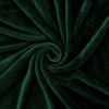 Picture of Exclusivo Mezcla Soft Flannel Fleece Velvet Plush Throw Blanket - 50" x 60" (Forest Green)