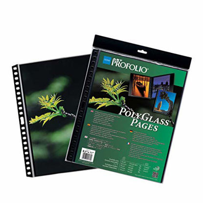 Picture of ProFolio by Itoya, Art ProFolio PolyGlass, 10-Pack Multi-Ring Binder Refill Pages - Portrait, 9 x 12 Inches
