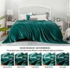 Picture of Bedsure Fleece Blanket Queen Size Emerald Green Lightweight Super Soft Cozy Luxury Bed Blanket Microfiber