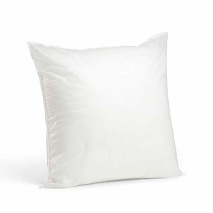 Picture of Foamily Premium Hypoallergenic Stuffer Pillow Insert Sham Square Form Polyester, 20" L X 20" W, Standard/White