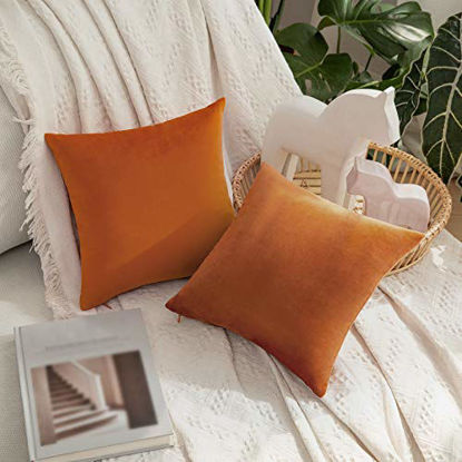 https://www.getuscart.com/images/thumbs/0483816_miulee-pack-of-2-velvet-pillow-covers-decorative-square-pillowcase-soft-solid-cushion-case-for-sofa-_415.jpeg