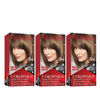 Picture of Revlon Colorsilk Beautiful Color Permanent Hair Color with 3D Gel Technology & Keratin, 100% Gray Coverage Hair Dye, 50 Light Ash Brown, 4.4 oz (Pack of 3)