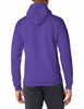 Picture of Hanes Men's Pullover Ecosmart Fleece Hooded Sweatshirt, purple, 4X Large