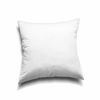 Picture of EDOW Throw Pillow Inserts, Set of 2 Lightweight Down Alternative Polyester Pillow, Couch Cushion, Sham Stuffer, Machine Washable. (White, 16x16)