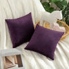 Picture of MIULEE Pack of 2 Velvet Pillow Covers Decorative Square Pillowcase Soft Solid Cushion Case for Sofa Bedroom Car 12 x 12 Inch Eggplant Purple