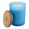 Picture of Chesapeake Bay Candle Scented Candle, Confidence + Freedom (Oak Moss Amber), Medium