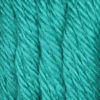 Picture of Caron Simply Soft Party Solids Yarn, Gauge 4 Medium Worsted, - 6 oz - Cool Green